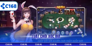 Luật Chơi Xóc Đĩa Chi Tiết Dễ Hiểu Cho Thành Viên Mới